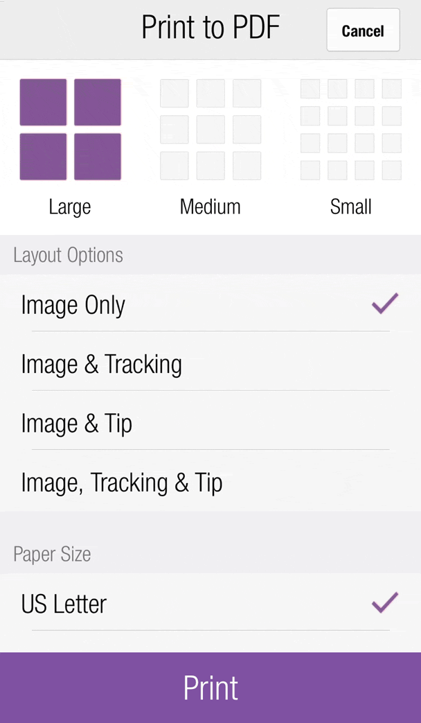 Image of the print workout options.